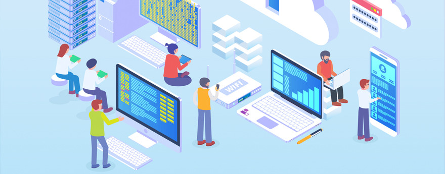 Who are the programmers and what role they play in a company